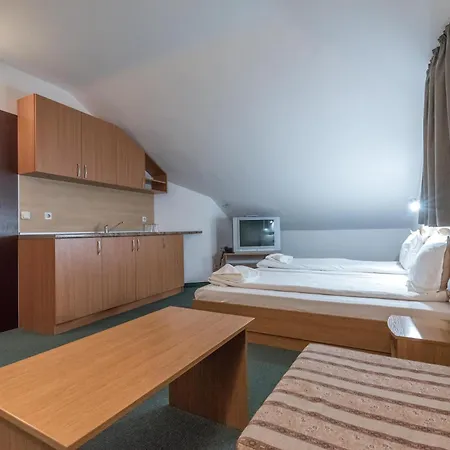 Hotel Iceberg 3*